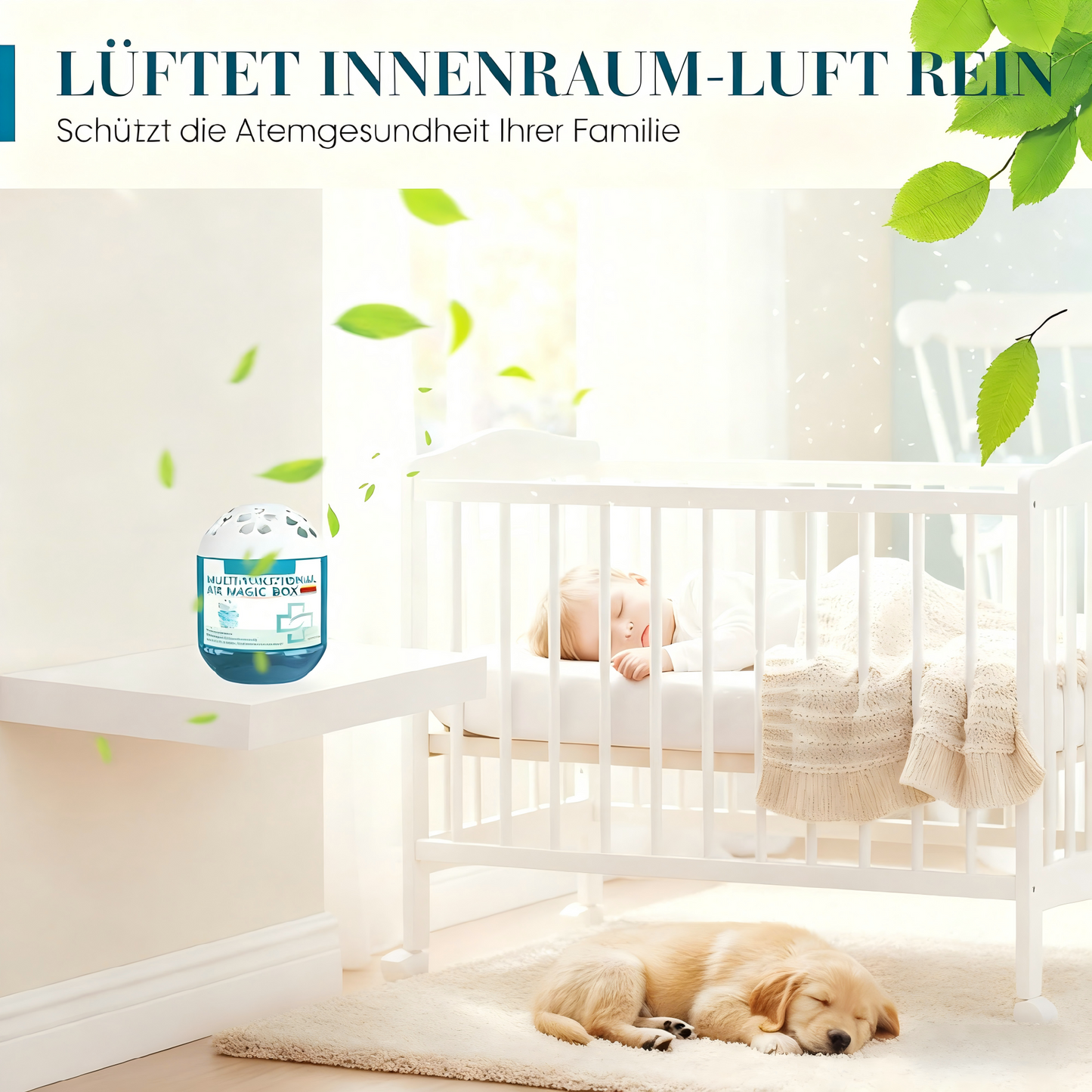 🔥2026 Neue Kollektion ⏰Indoor Air Purification & Dust Removal Magic Box🏠🌿